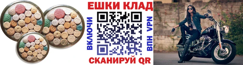 ЭКСТАЗИ Punisher  KRAKEN вход  Западная Двина 