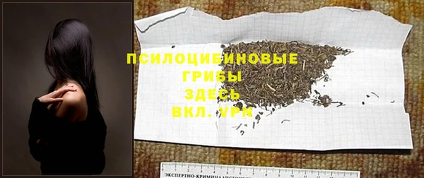 прущая мука Вязники