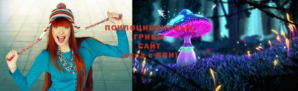 прущая мука Вязники