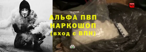 амф Верея