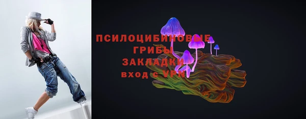 прущая мука Вязники