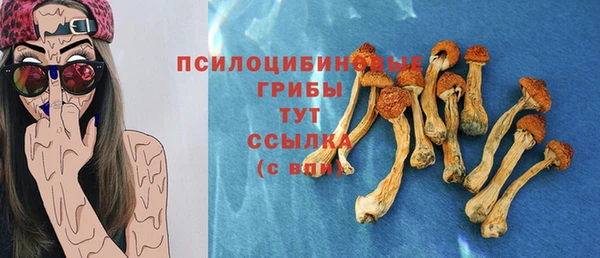 бутират Горняк