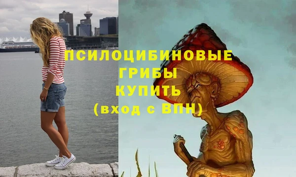марки lsd Горно-Алтайск