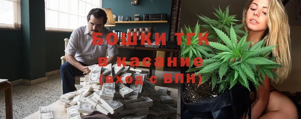 амф Верея