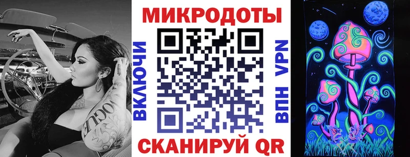 сколько стоит  Западная Двина  Галлюциногенные грибы Cubensis 